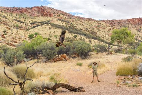 alice springs recovery - by the desert